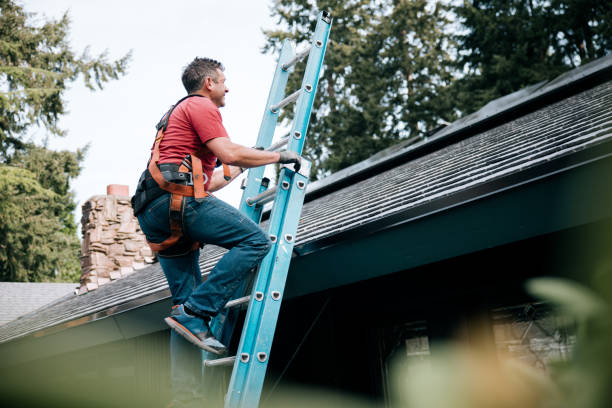 Best Emergency Roof Repair Services  in Fishhook, AK